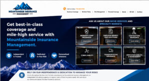 Mountainside Insurance Management