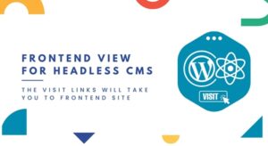 frontend view for headless cms